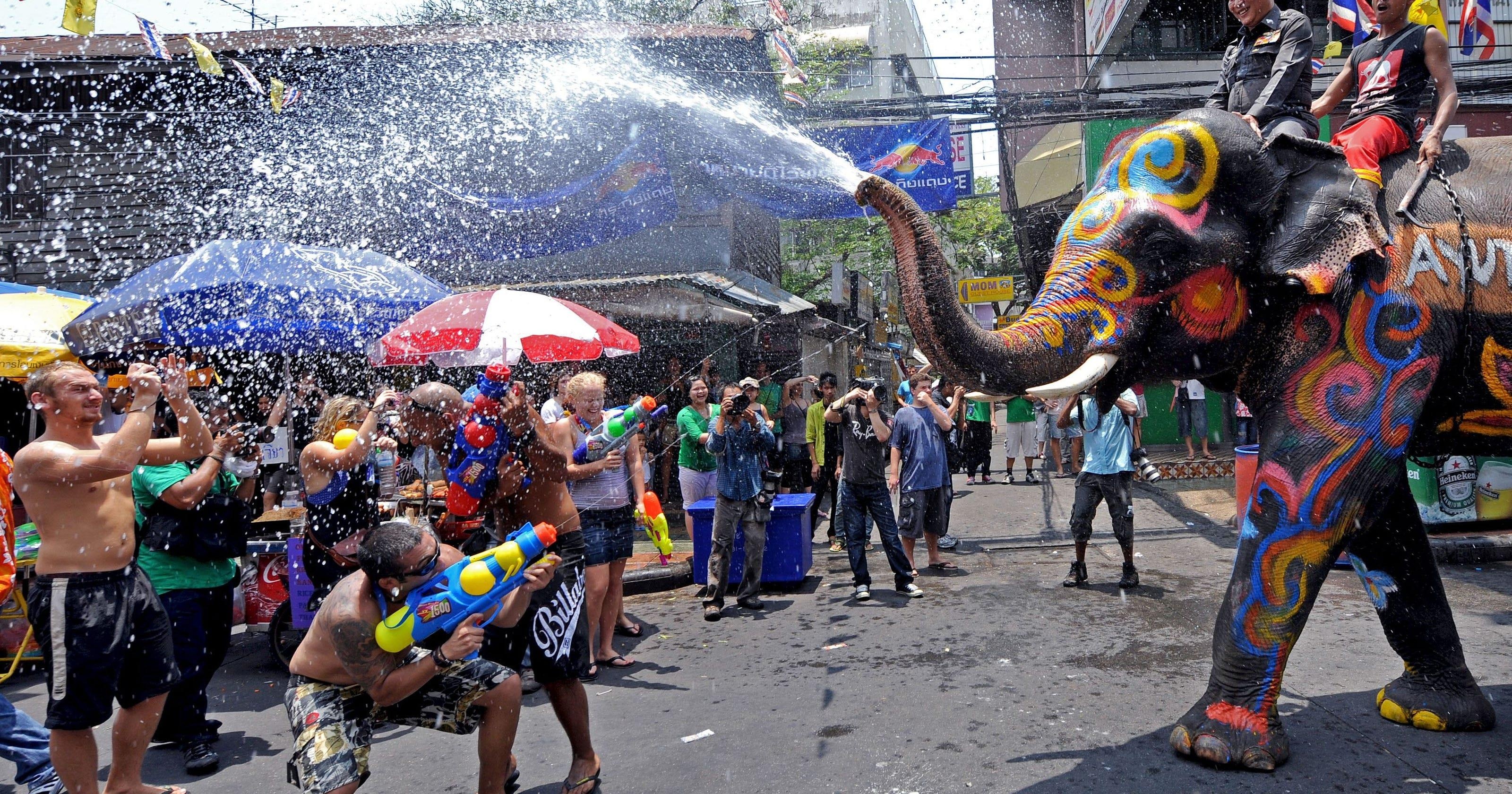 Voi chay rong bi xe tong anh 2