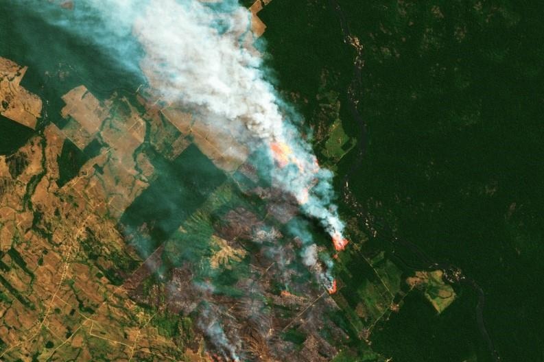 Lua dang thieu rui rung Amazon voi toc do 110 san bong moi gio hinh anh