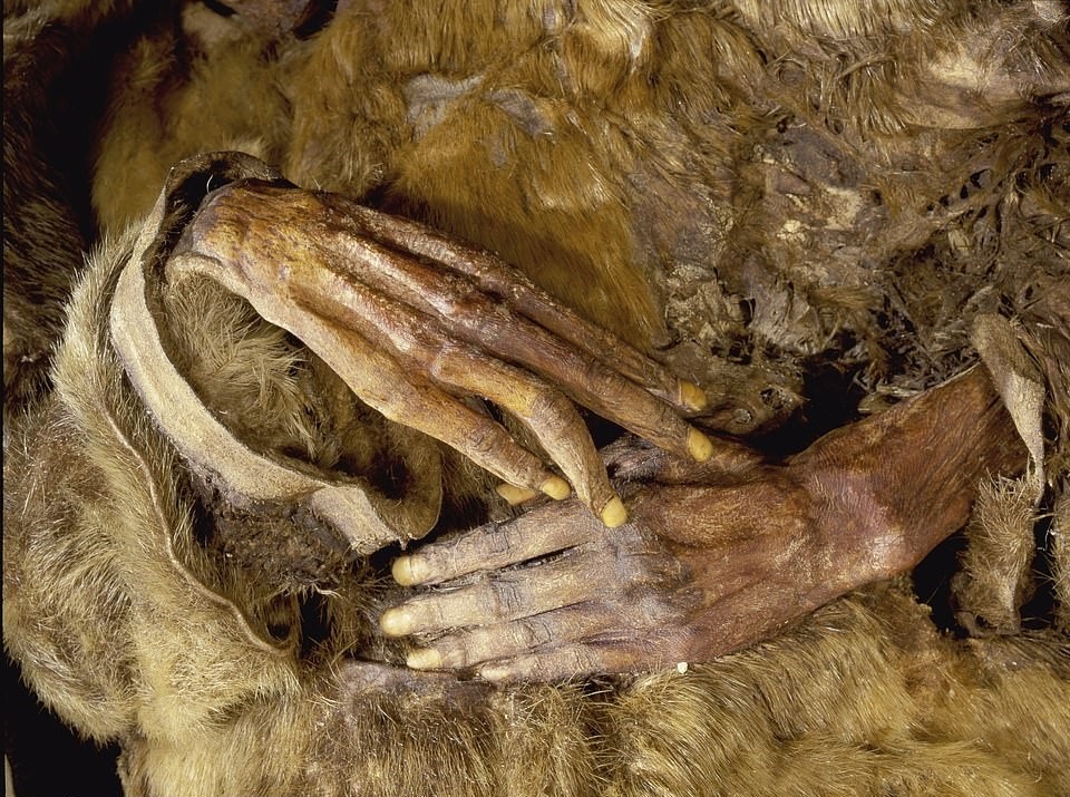 xac uop em be tho dan dong bang 500 nam anh 2