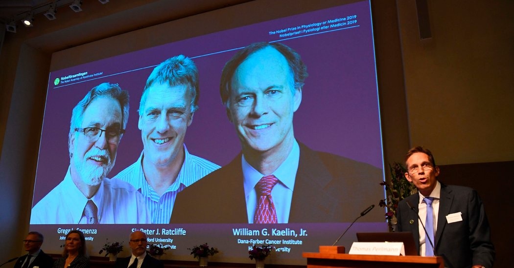 Nobel Y khoa năm 2019 ảnh 2 Nobel Y khoa nam 2019 anh 2