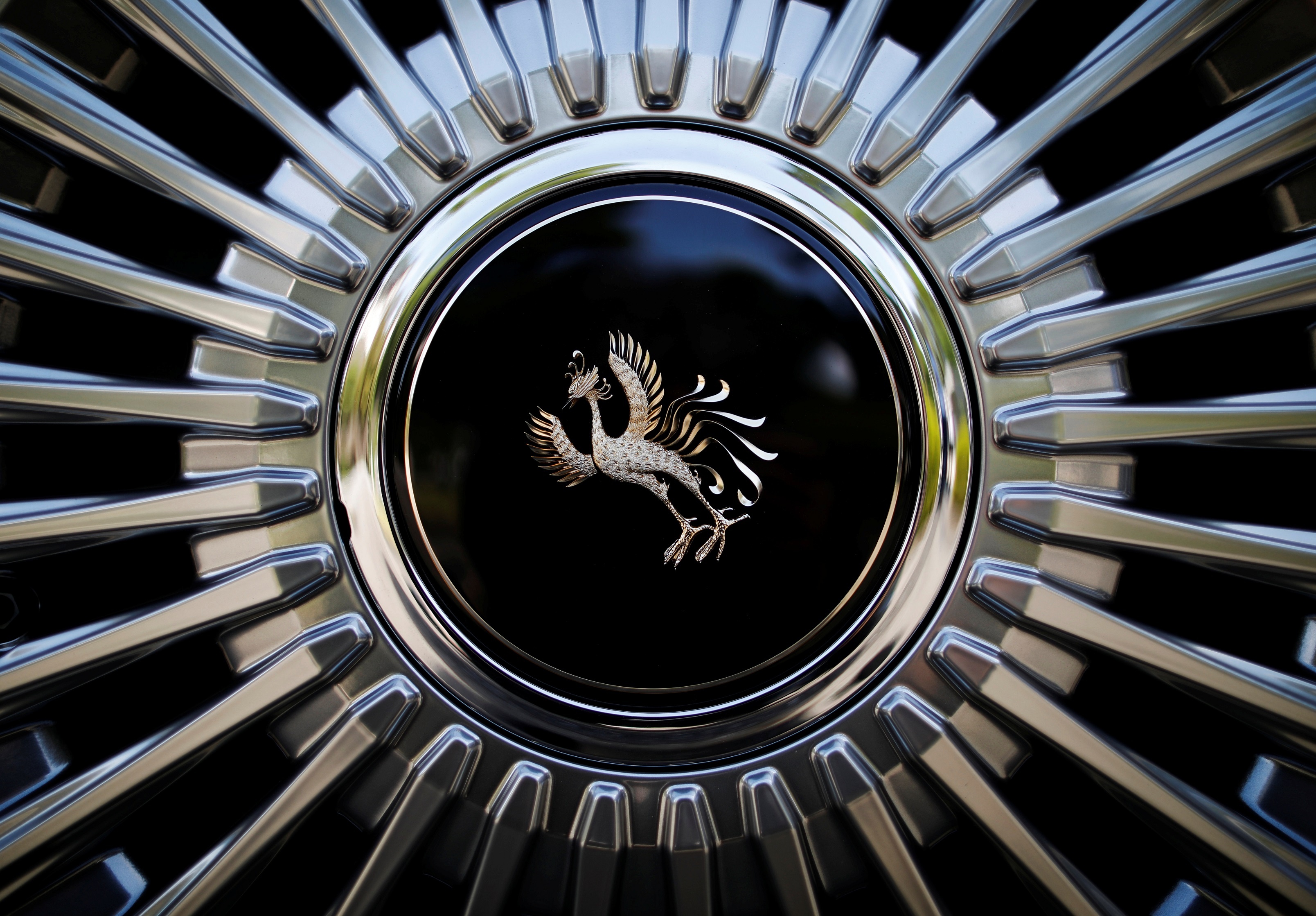 Xe mui tran dac biet cua Nhat hoang Naruhito anh 6