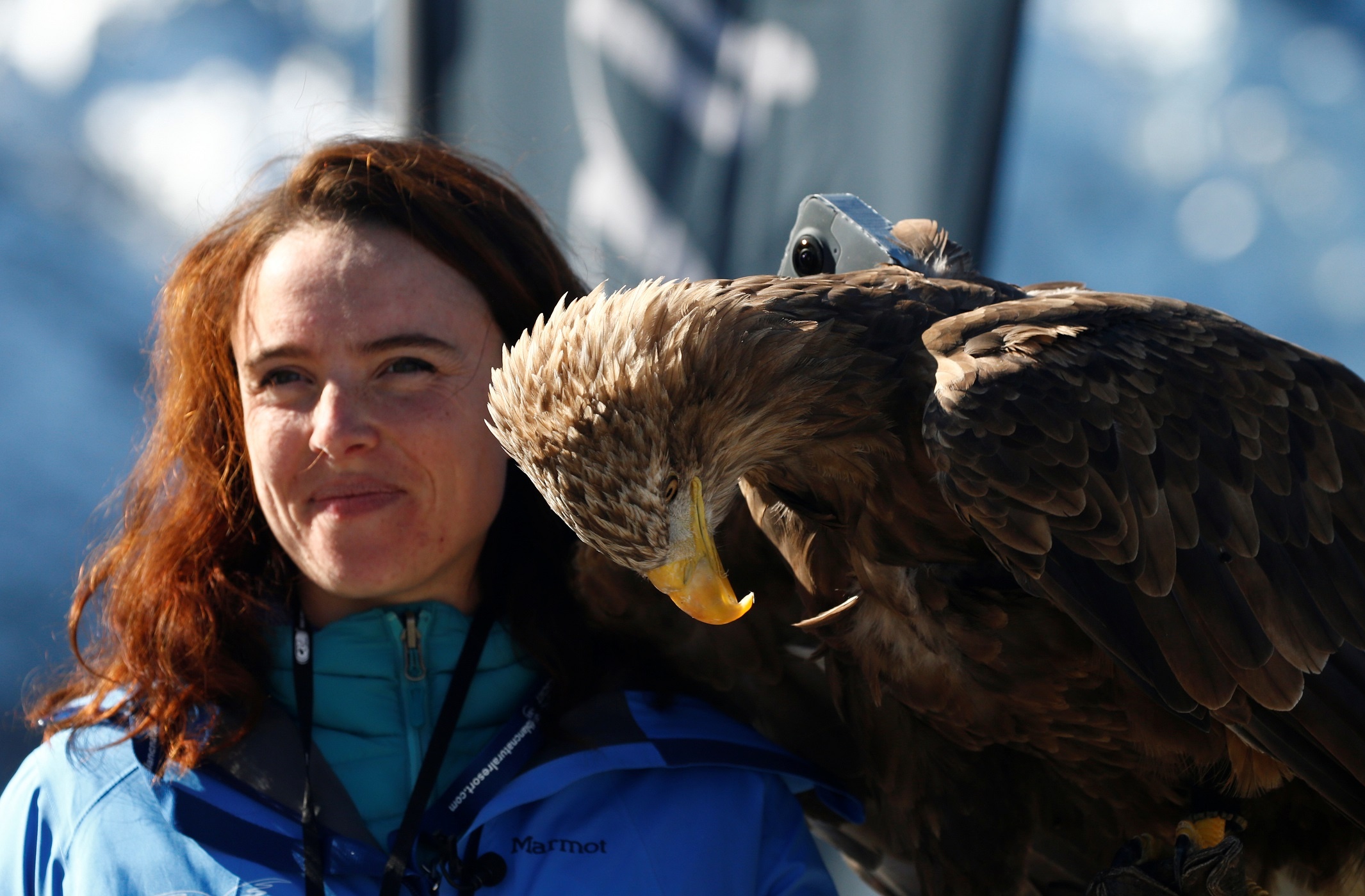 song bang chet dan tren Alps anh 1