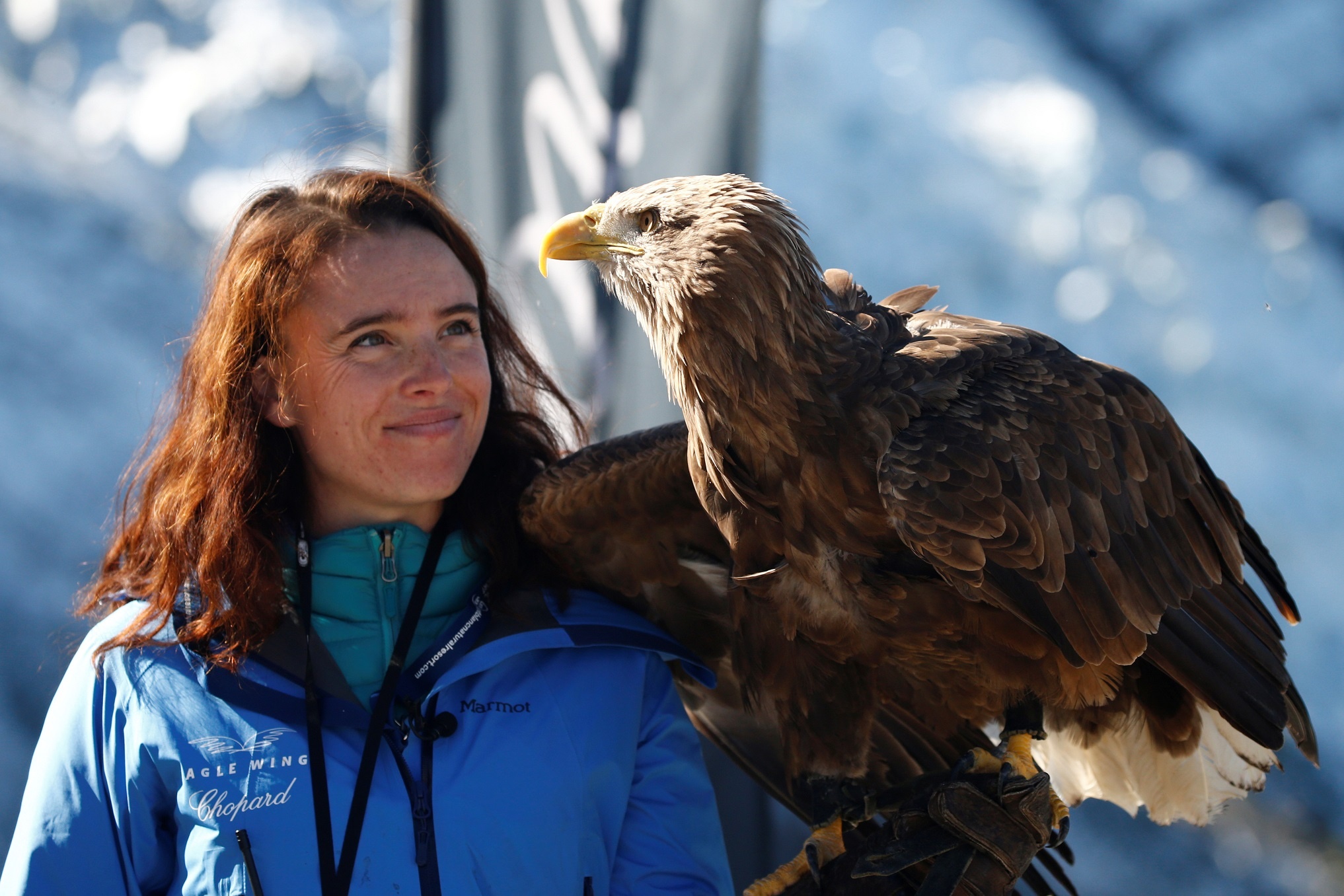 song bang chet dan tren Alps anh 6