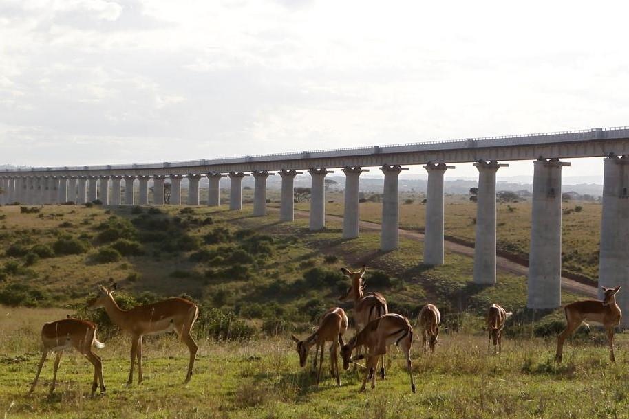 TQ bat ngo cat von, Kenya ganh du an duong sat 'co dau khong co duoi' hinh anh