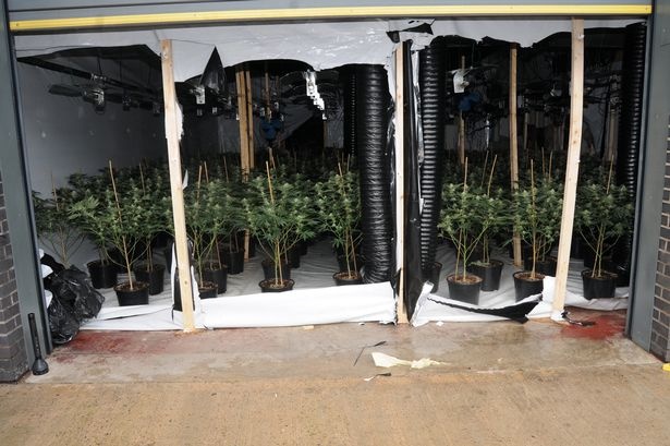 nguoi Viet bi ban qua Anh trong can sa anh 1