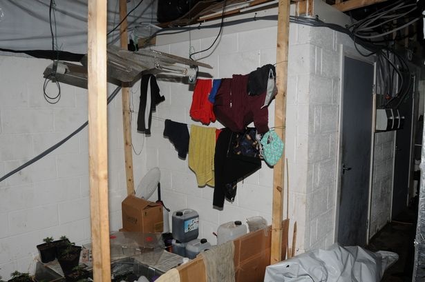 nguoi Viet bi ban qua Anh trong can sa anh 2