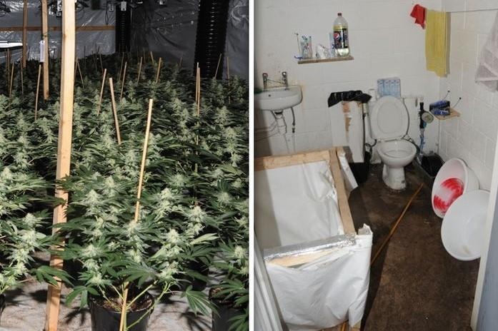 Giai cuu 3 thieu nien nguoi Viet bi ban qua Anh trong can sa hinh anh