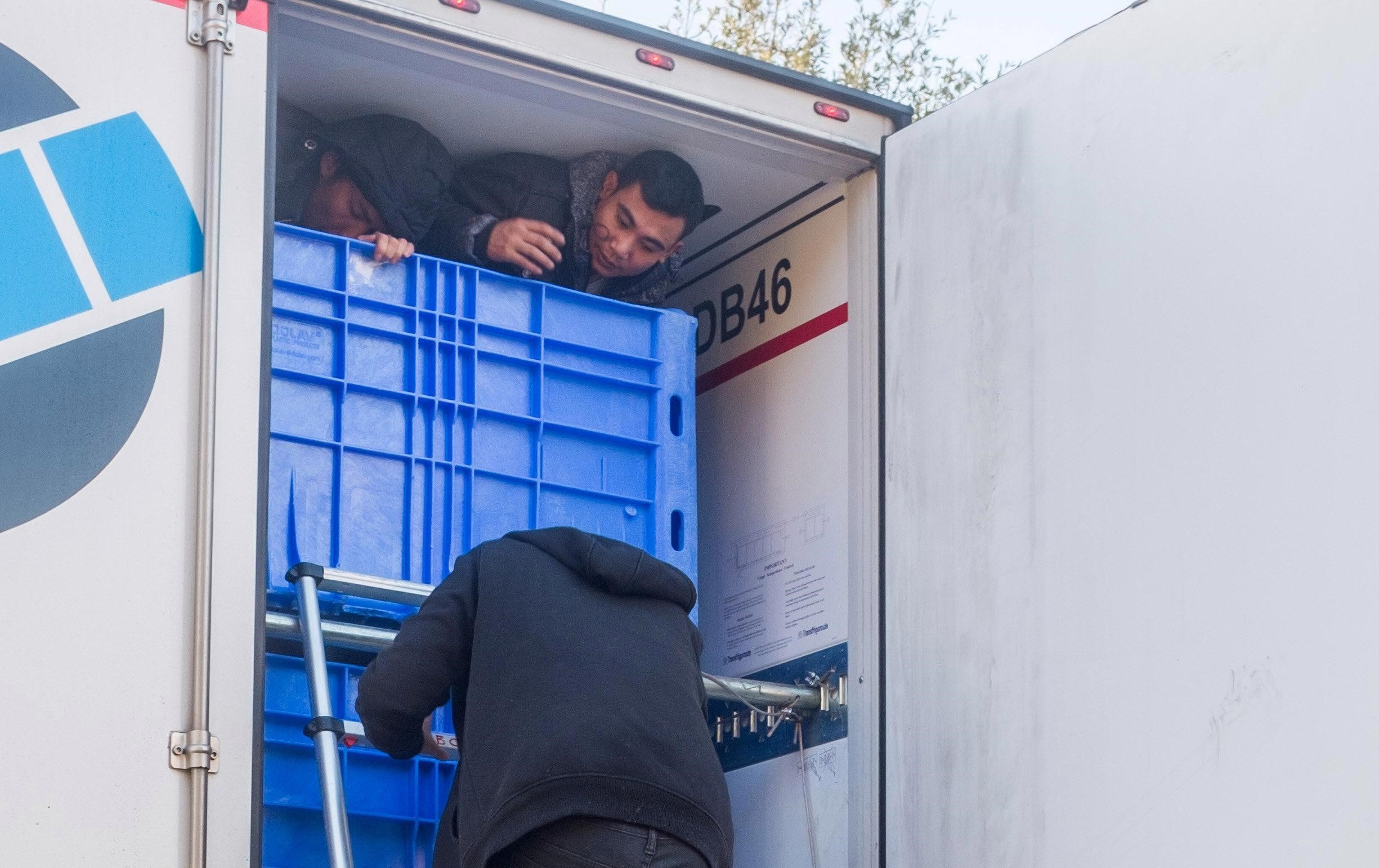 Băng nhóm buôn người Ireland ảnh 3 Bang nhom buon nguoi Ireland anh 3