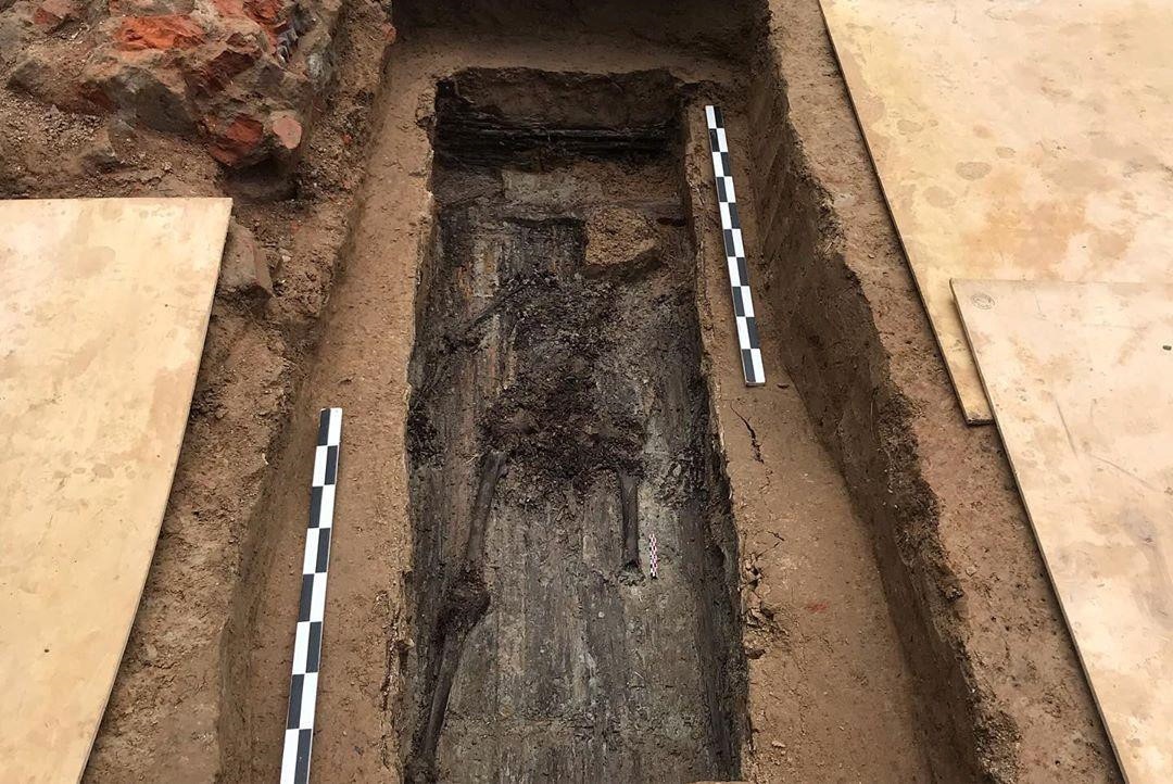 hổ tướng của Napoleon ảnh 2 ho tuong cua Napoleon anh 2