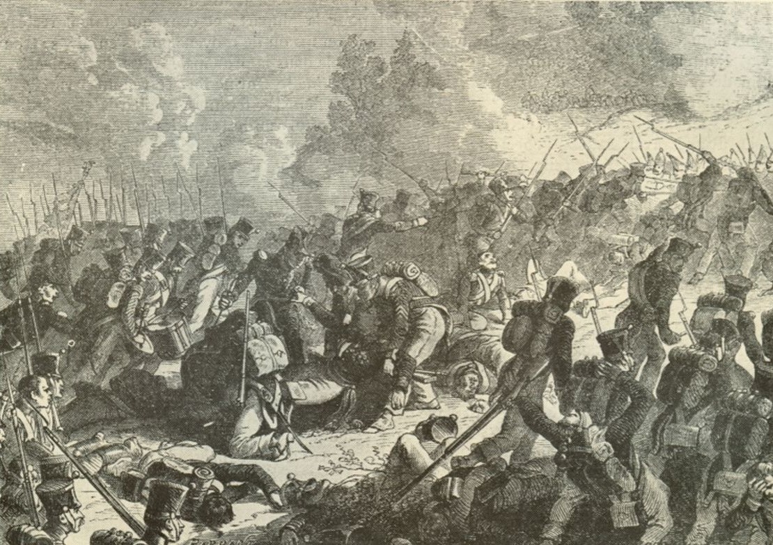 hổ tướng của Napoleon ảnh 3 ho tuong cua Napoleon anh 3