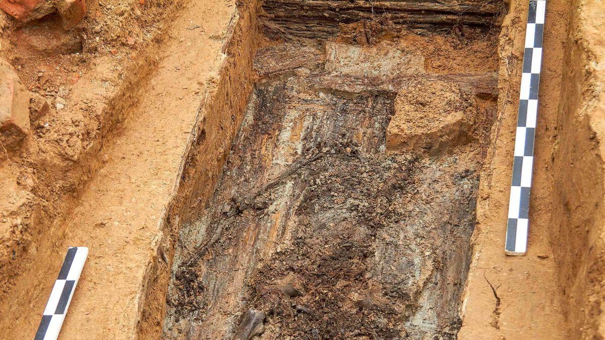 Tim thay hai cot 'ho tuong' cua Napoleon sau hai the ky hinh anh