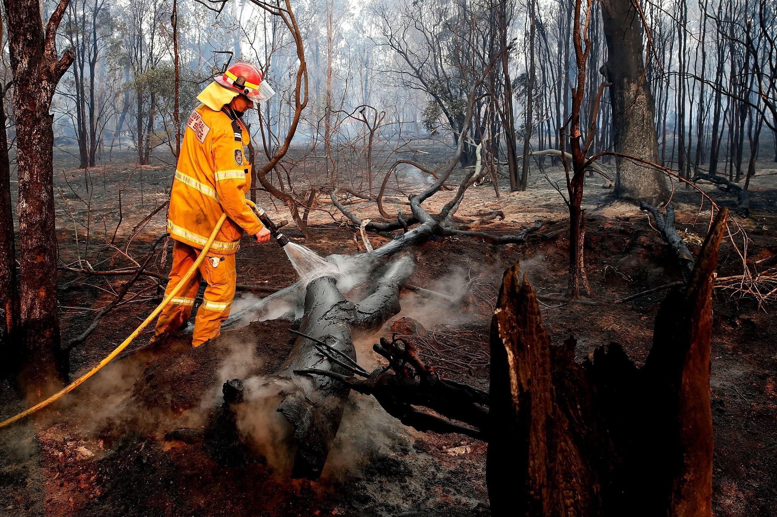 Chay rung lon ky luc o Australia, khoi bay sang ca New Zealand hinh anh