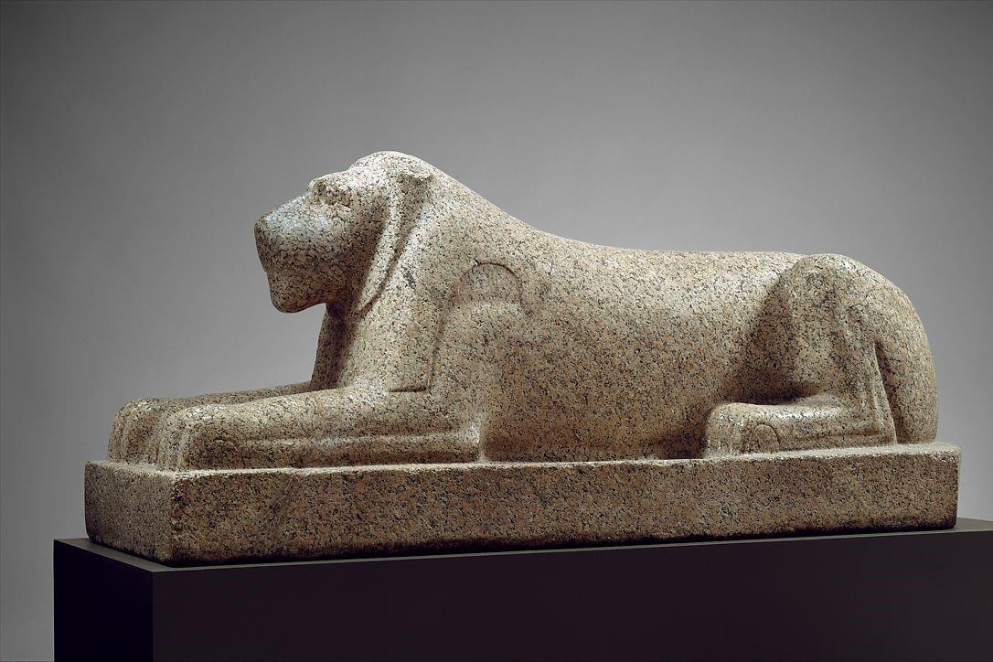 Ai Cap tim thay xac uop loai vat lon bi an hinh anh