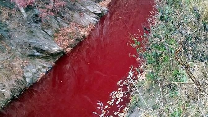 Mau lon nhiem dich ta chau Phi nhuom do song gan bien gioi lien Trieu hinh anh