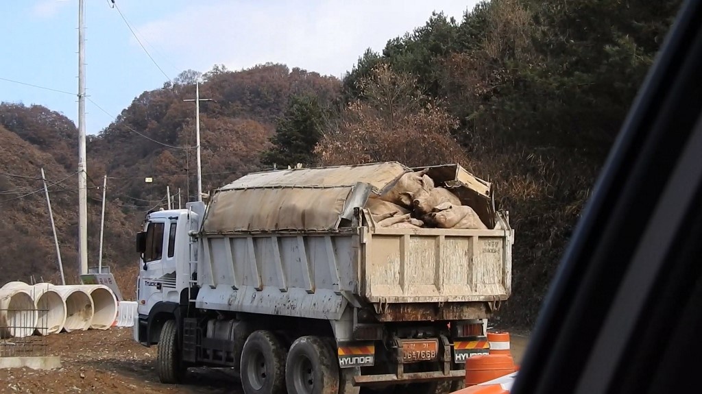 dong song nhuom do vi mau anh 1