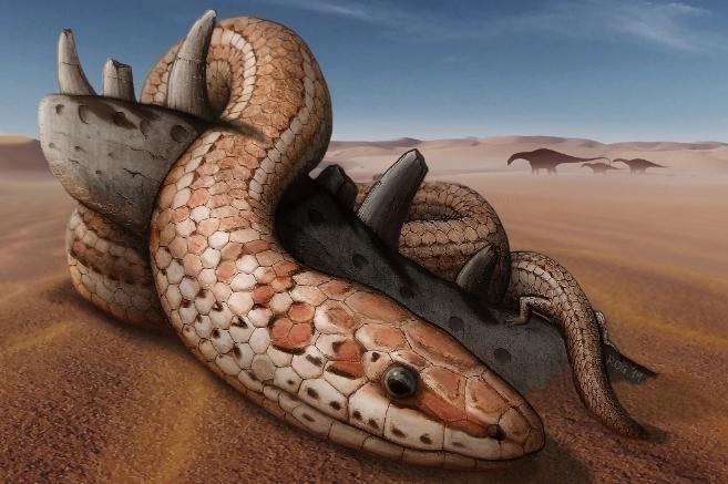 Hoa thach he lo loai ran co chan sau ton tai gan 70 trieu nam hinh anh