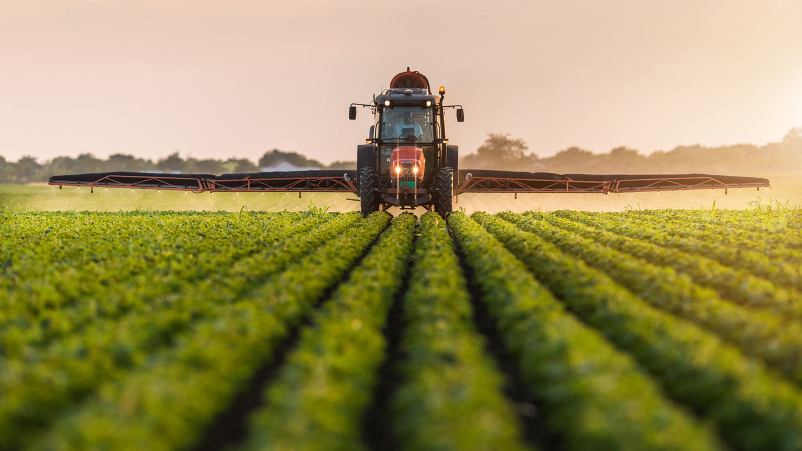 Monsanto chiu phat 10 trieu USD anh 2