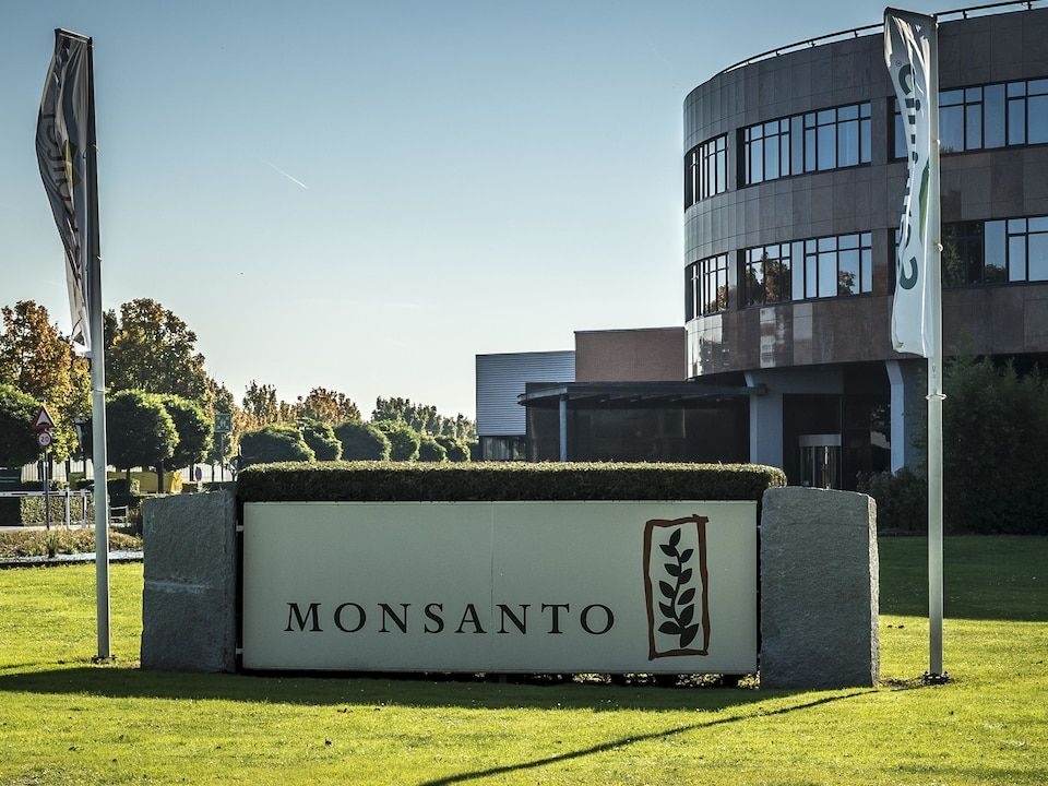 Monsanto chiu phat 10 trieu USD anh 1