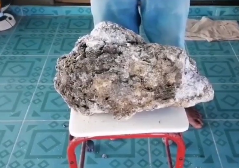 tim duoc bau vat Long Dien Huong anh 2