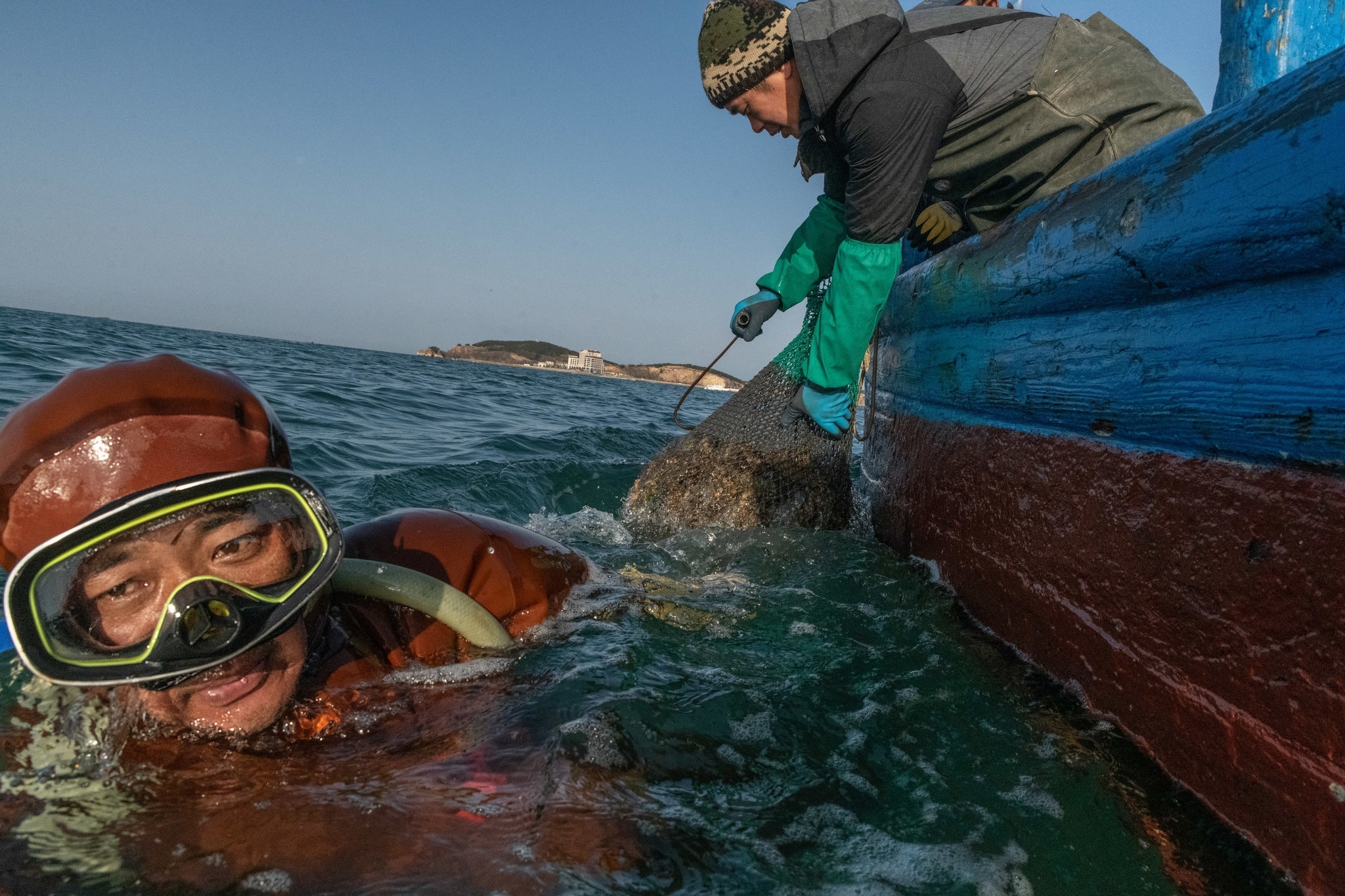 Khoet bo bien lap trai vi con them hai sam 'than duoc' o TQ hinh anh