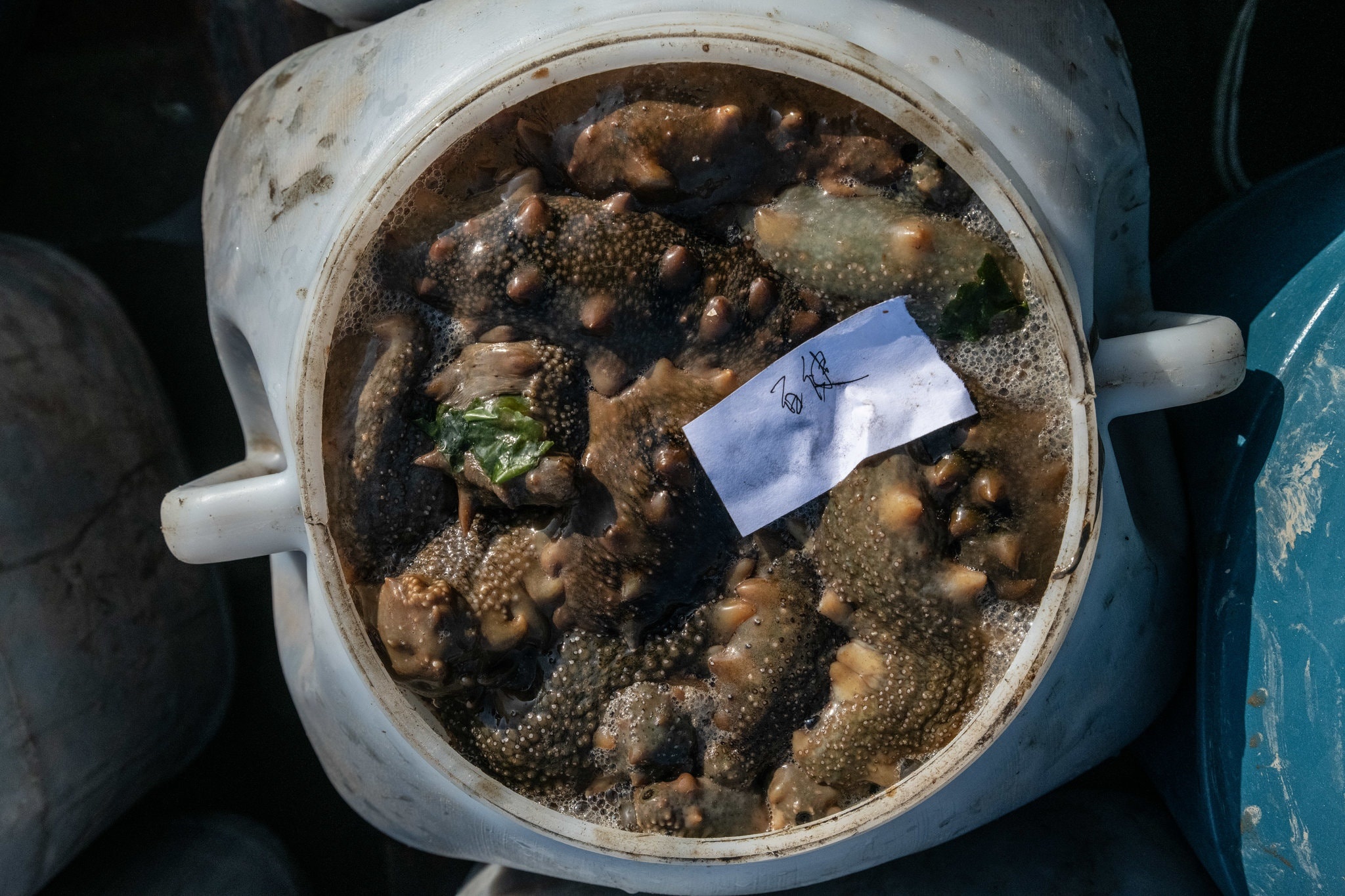 Lan bien lanh bat hai sam anh 7