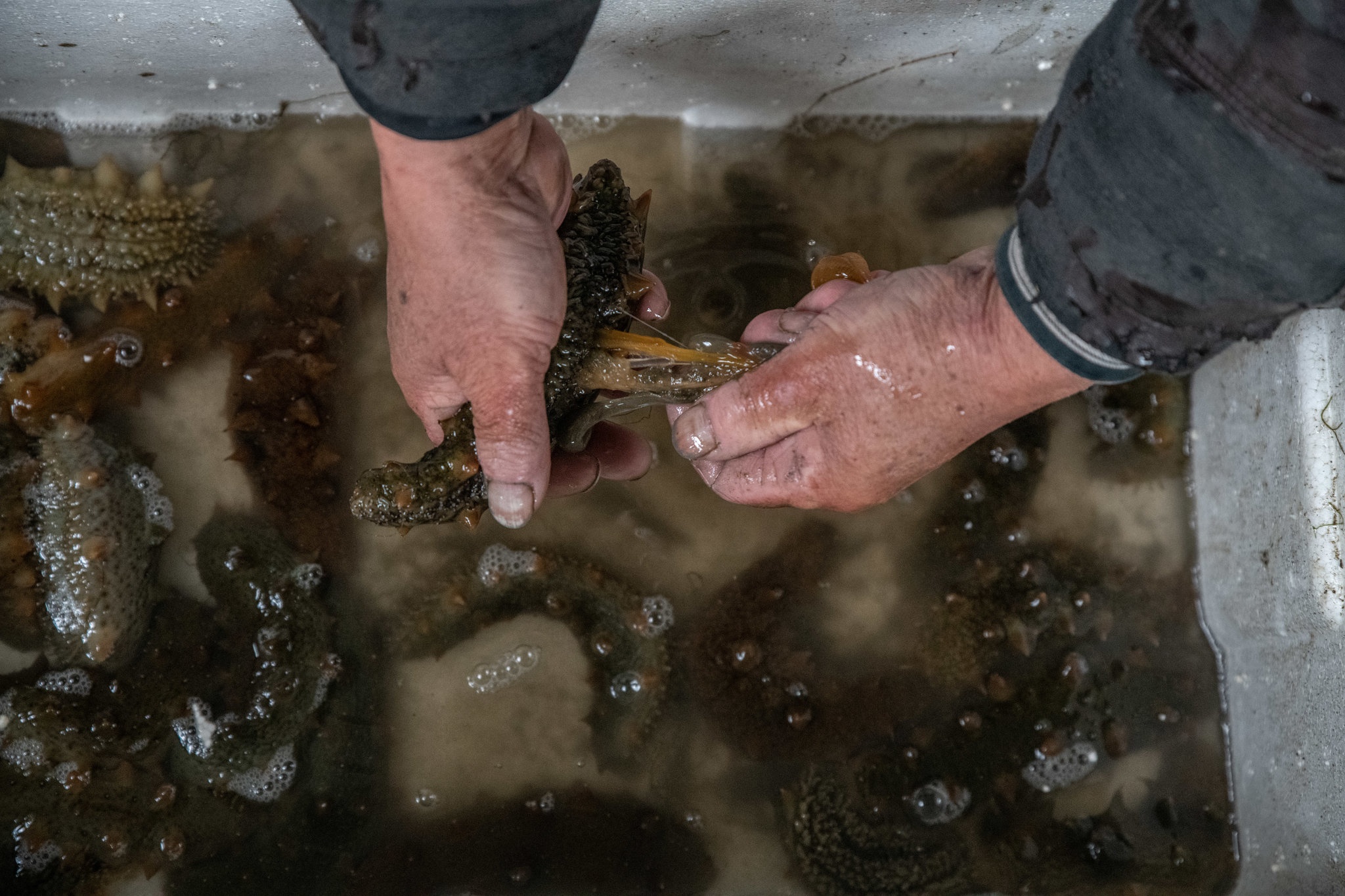 Lan bien lanh bat hai sam anh 6