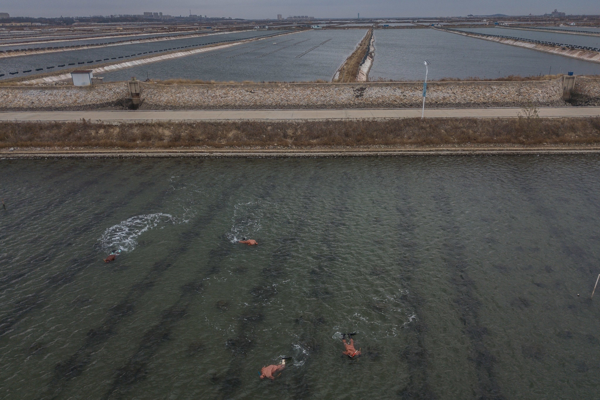 Lan bien lanh bat hai sam anh 10