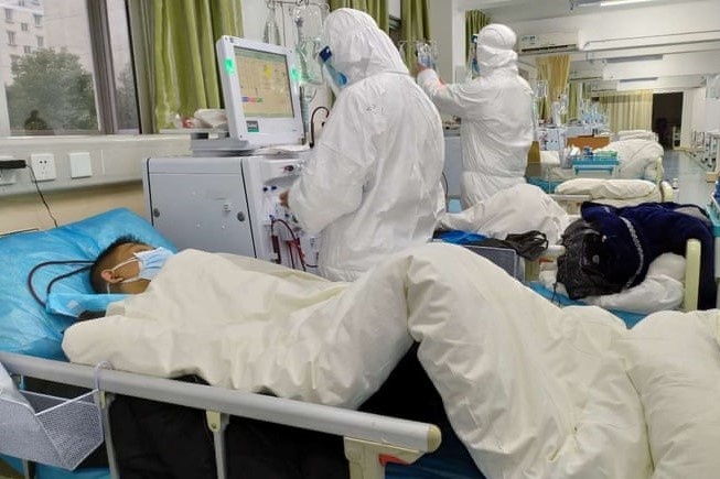 che giau dich Covid-19 anh 1