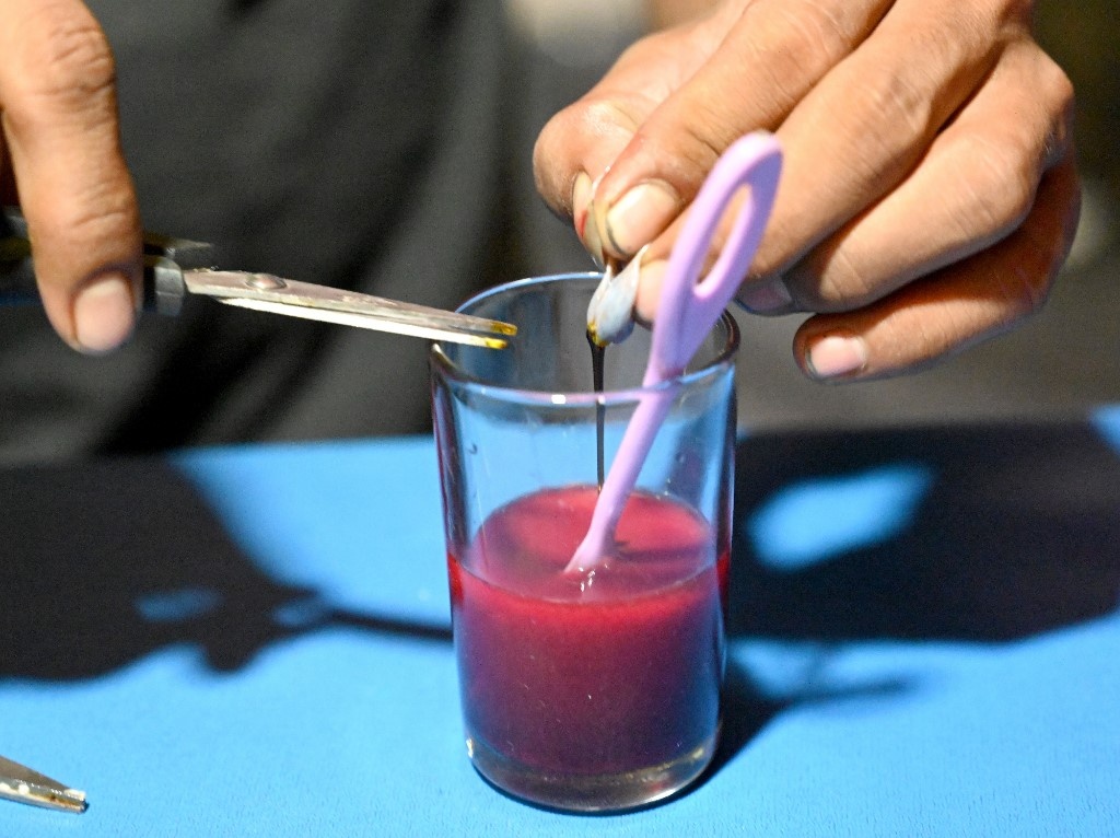 Cho thit rung Indonesia hon nhien ban doi anh 5