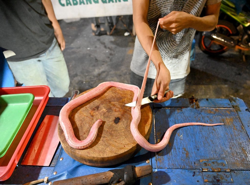 Cho thit rung Indonesia hon nhien ban doi anh 7