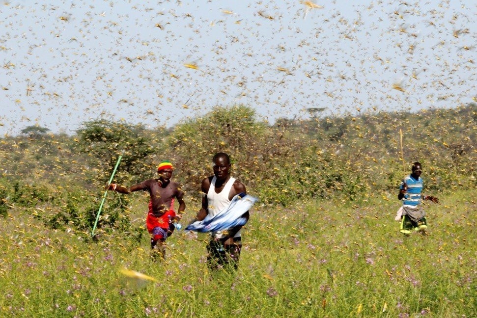 Trung Quoc chi 200 trieu USD ngan ngua chau chau tu chau Phi hinh anh