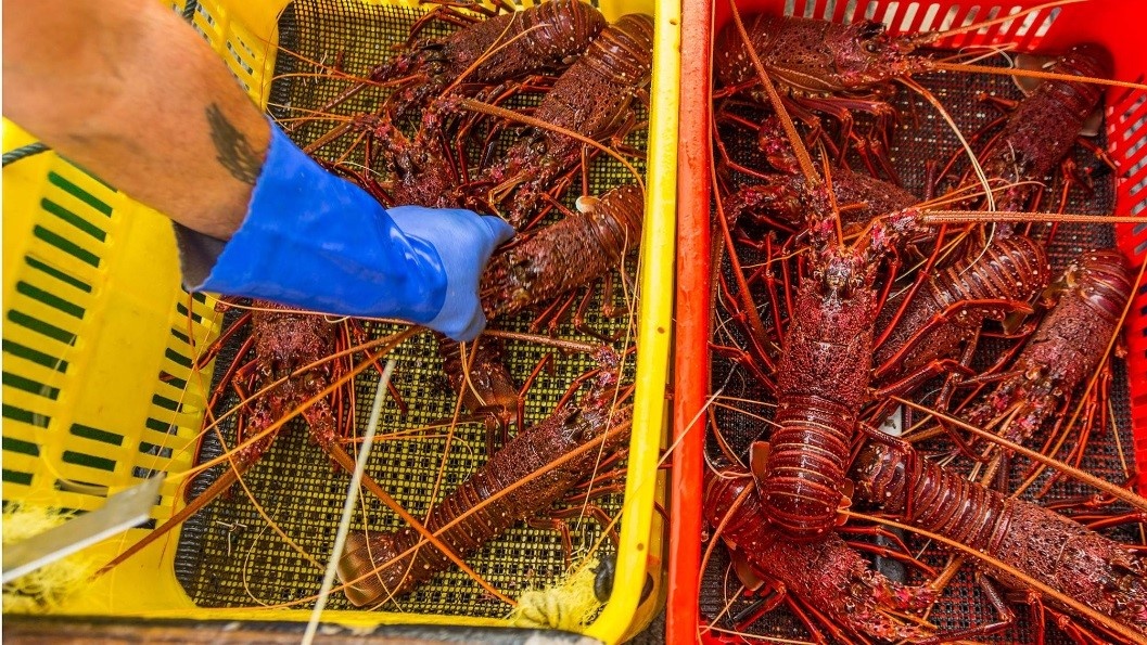 Trung Quoc nga benh anh 1