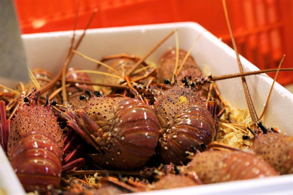 Xuat hien tom hum ‘0 dong’ o Australia vi virus corona bung phat o TQ hinh anh