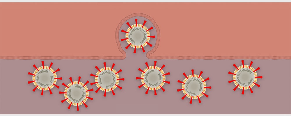 anh virus corona trong thuc te anh 7
