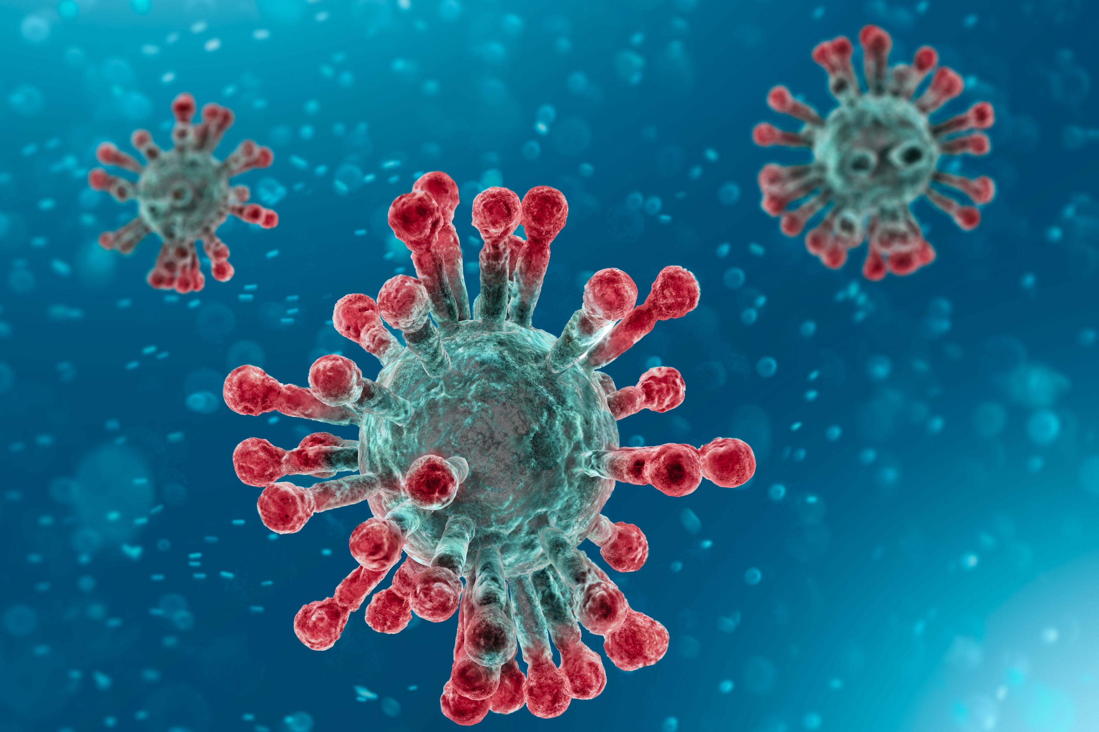 Anh tim thay khang the khac che SARS, mo hy vong ve thuoc tri Covid-19 hinh anh