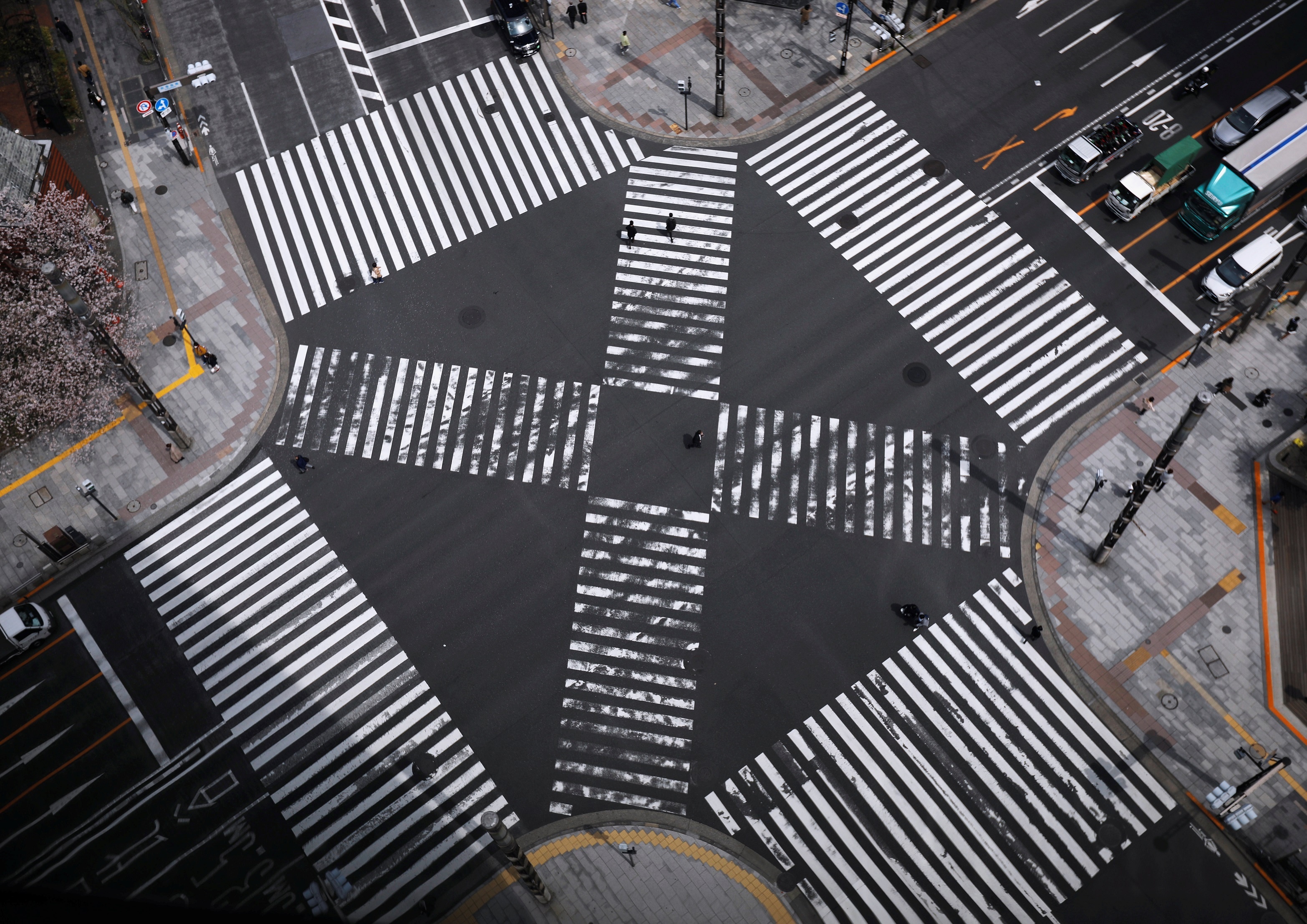 Nhat tuyen bo tinh trang khan cap anh 1