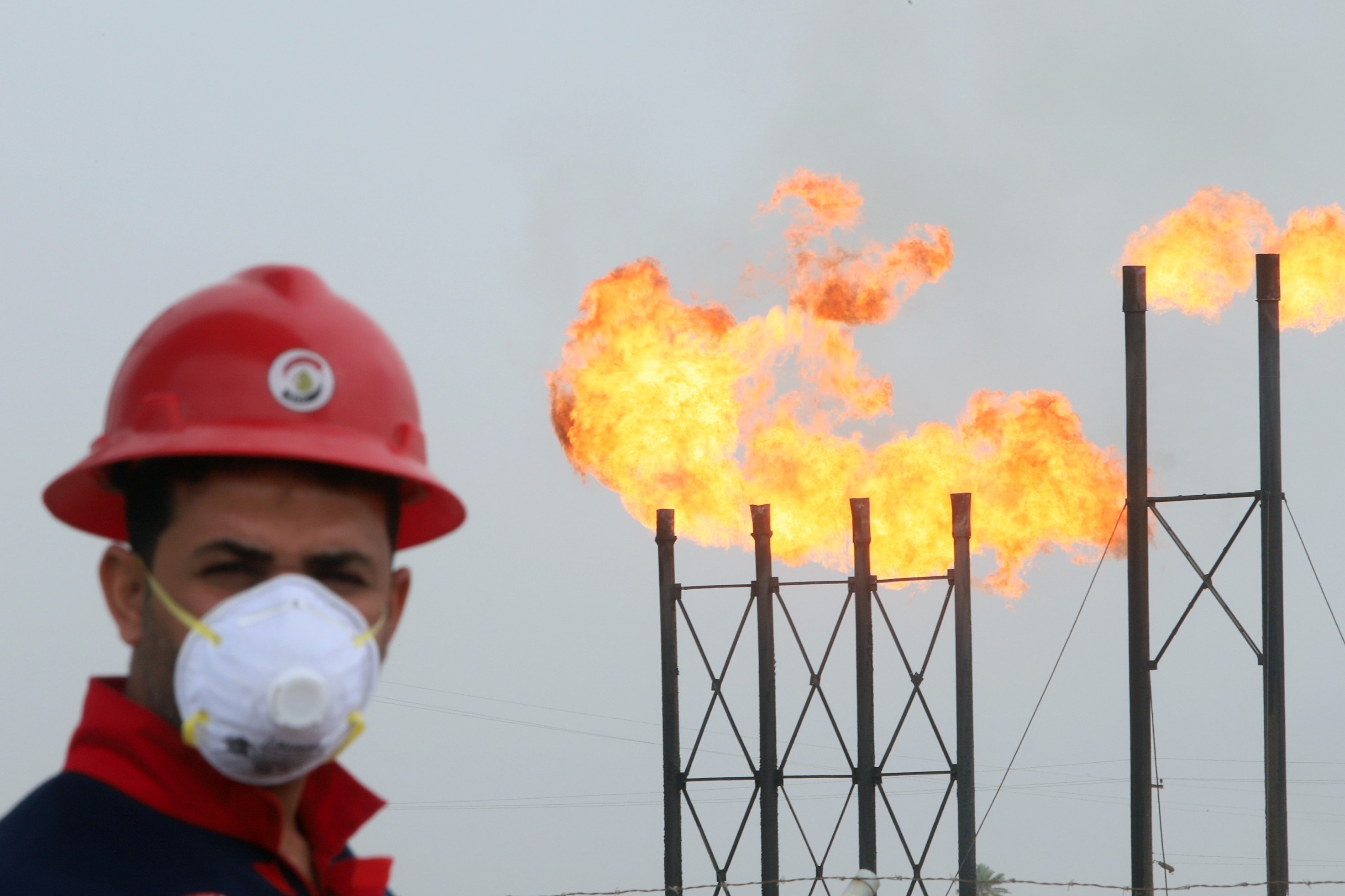 Gia dau xuong duoi 0 USD/thung cho thay su sup do cua nguon cau hinh anh