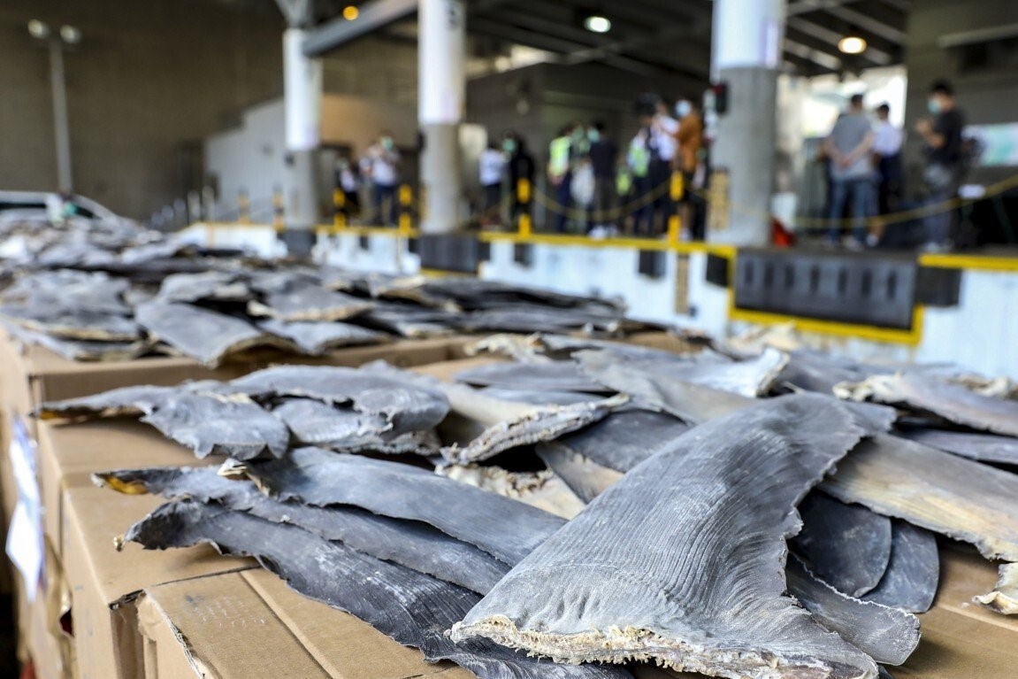 Hong Kong thu giu lo vay ca map lau lon nhat lich su hinh anh