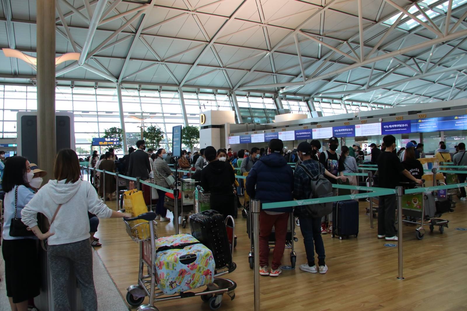 dua nguoi Viet ve nuoc anh 1