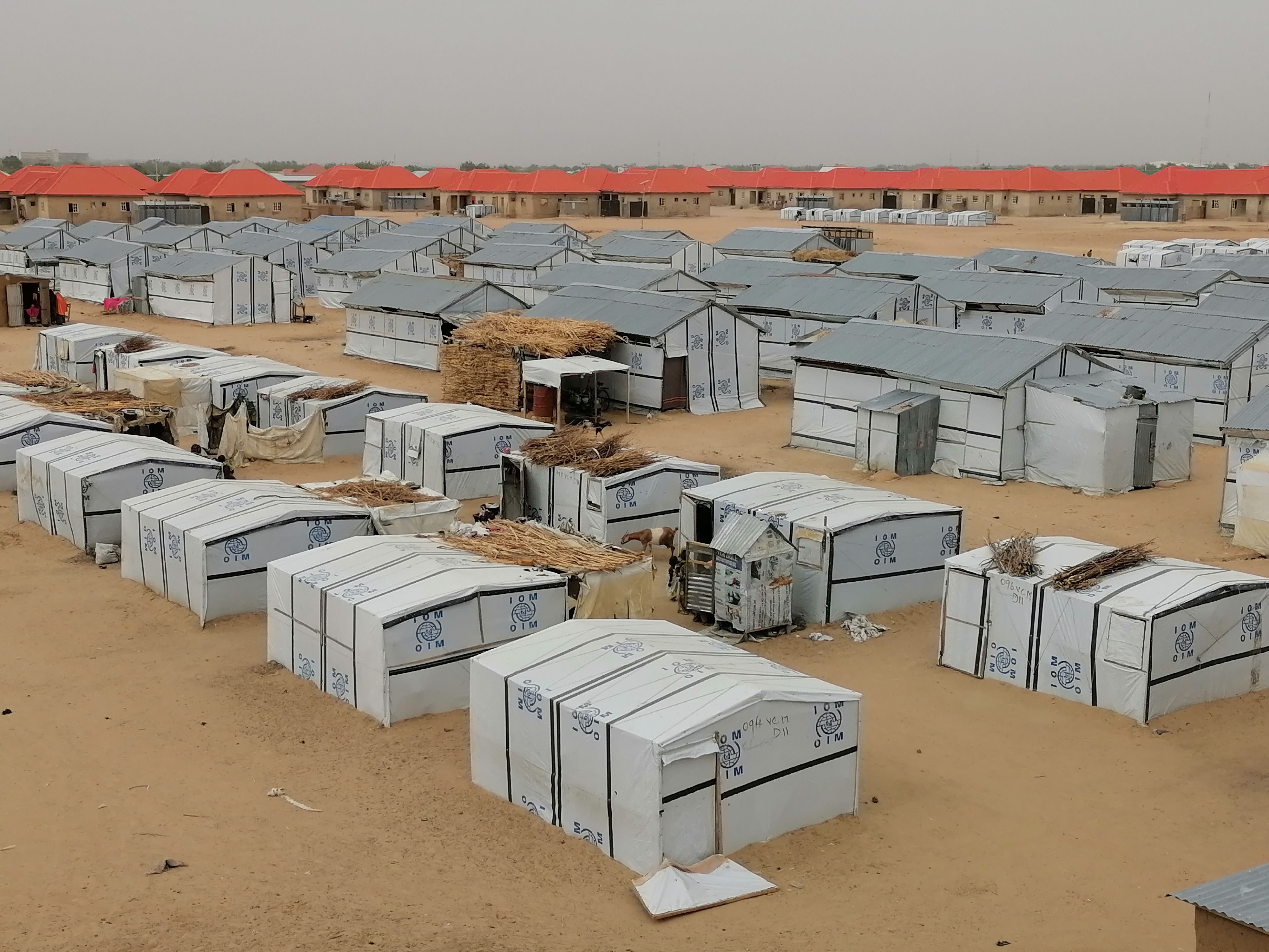 Tham sat rung dong Nigeria anh 1