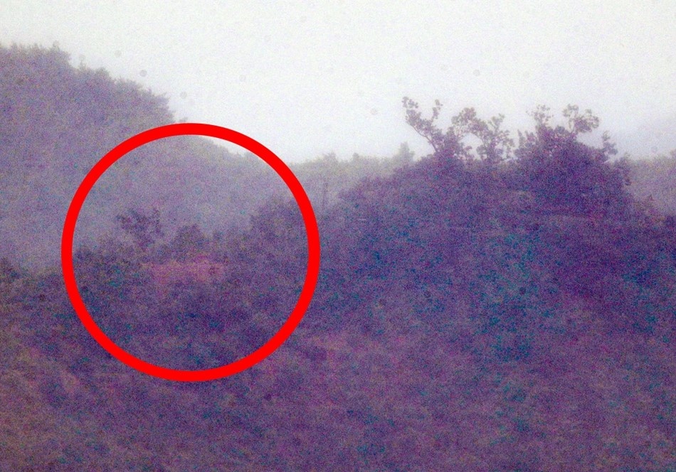 Loa phong thanh Trieu Tien bien mat anh 2