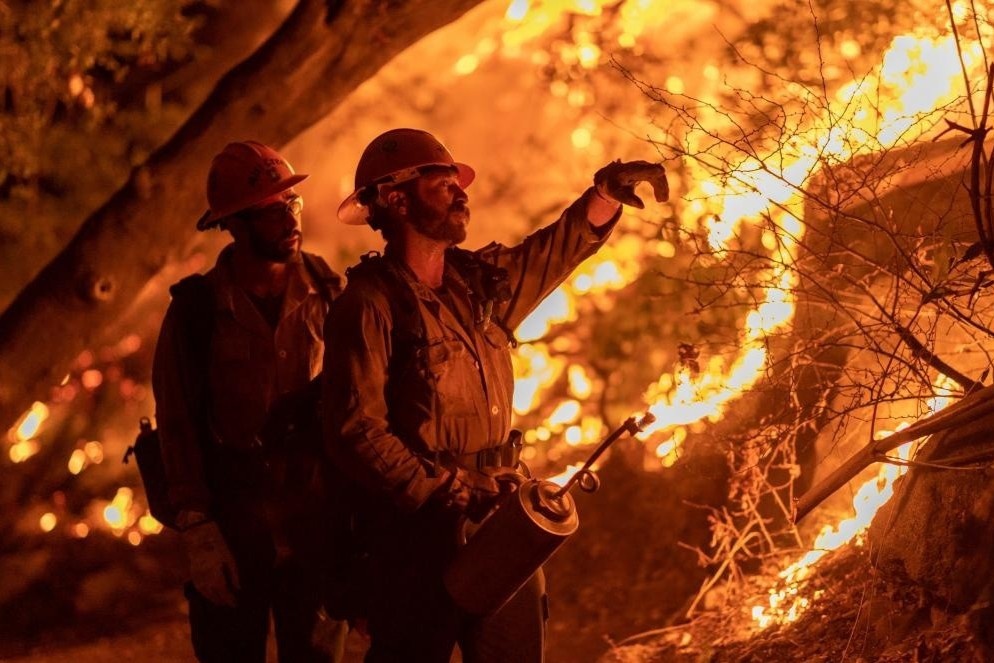 Tong thong Trump gay soc voi tuyen bo cay no tao ra chay rung hinh anh