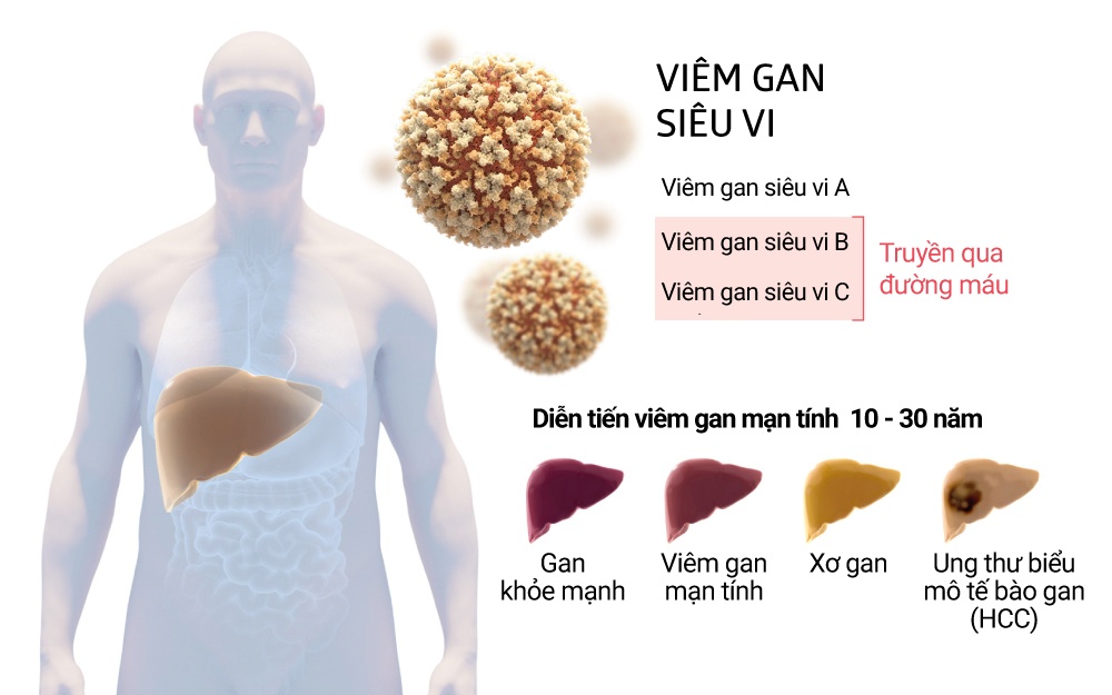 Nobel Y sinh 2020 anh 2