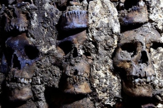 Phat hien doan di tich moi cua thap so nguoi o Mexico hinh anh