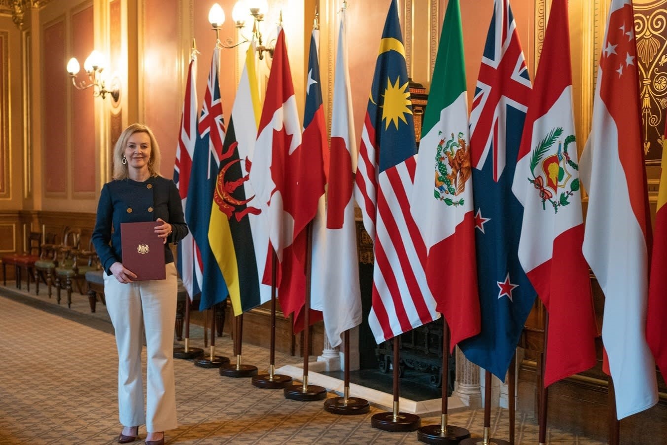 Anh se nop don gia nhap CPTPP hinh anh