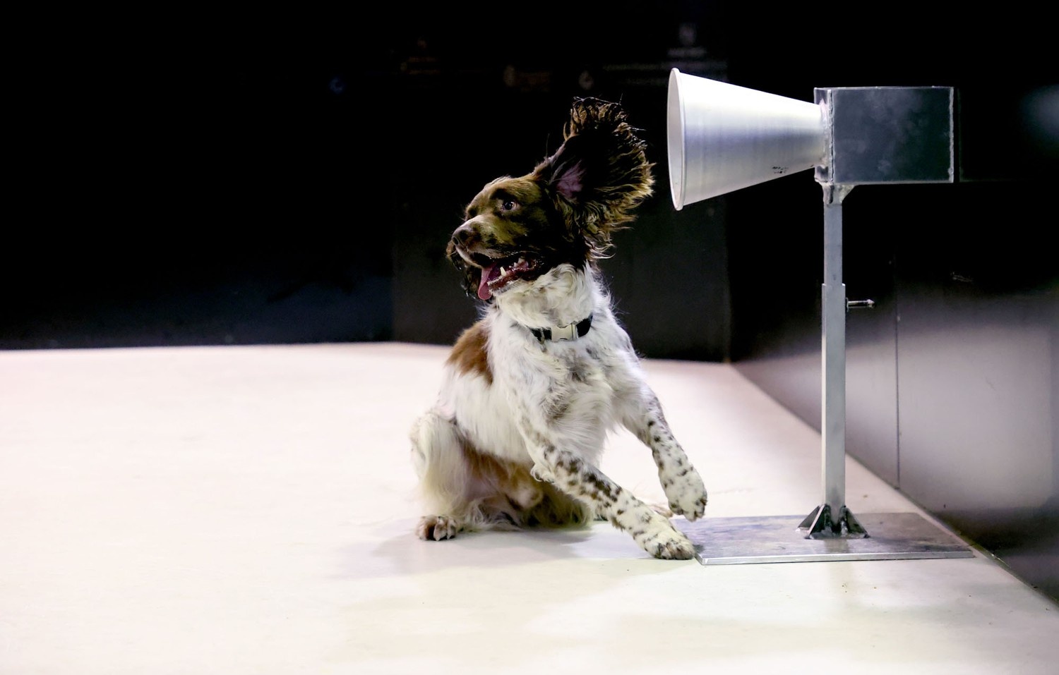 sang loc nhanh nguon lay virus corona anh 5