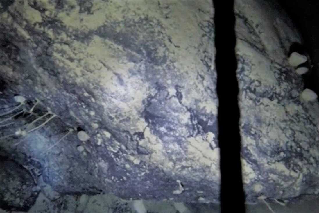 Phat hien sinh vat la anh 1