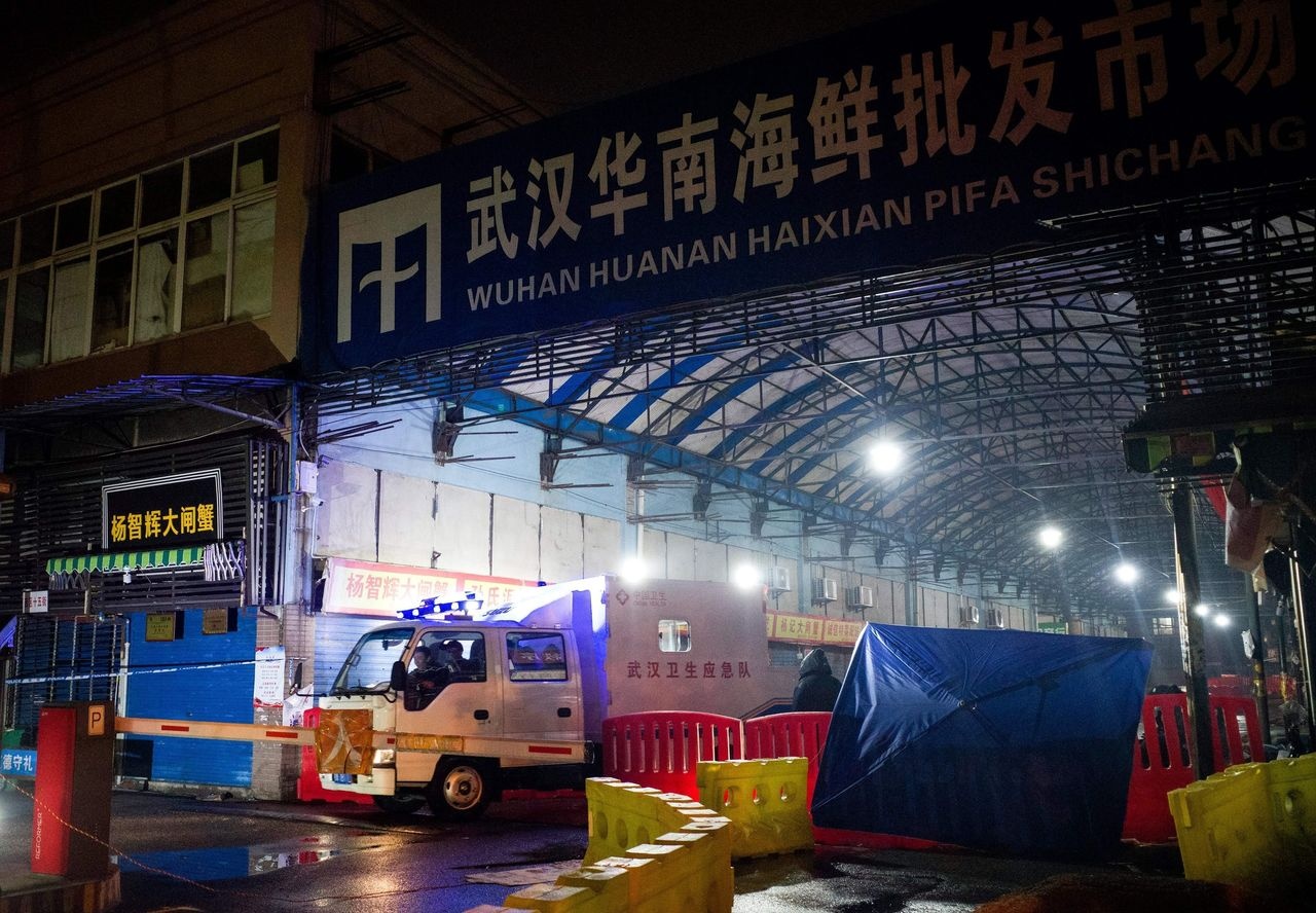 WHO phat hien gi o tam dich Vu Han anh 2