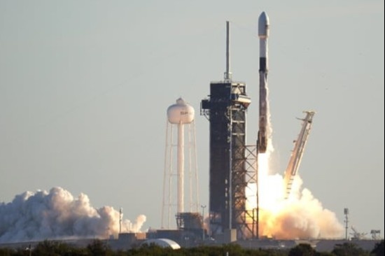 Bo lac Papua muon xua duoi ty phu Elon Musk hinh anh