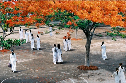 Ngoi Truong Dau Yeu -Nhom Bon Mua hinh anh